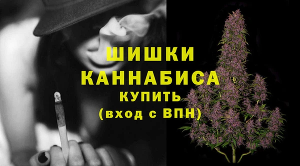 гидропоника Ладушкин