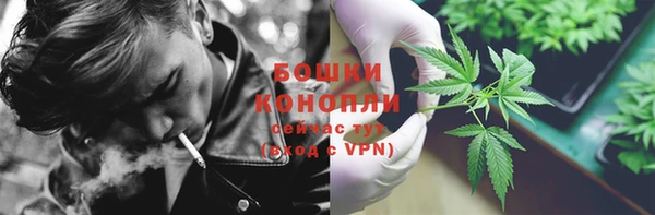гидропоника Ладушкин