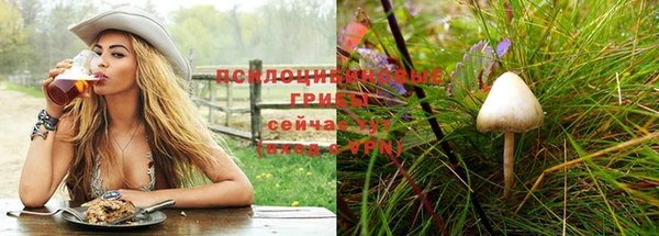 гидропоника Ладушкин