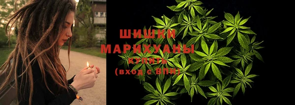 гидропоника Ладушкин