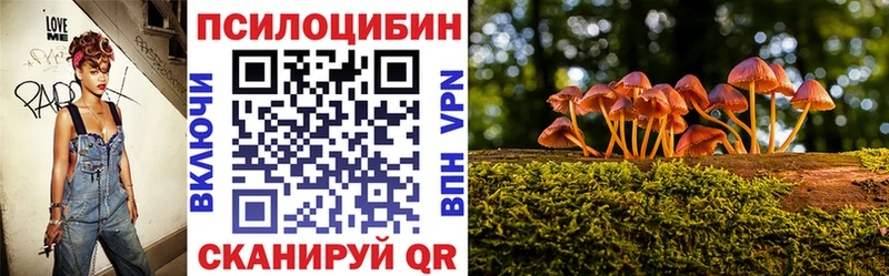 Галлюциногенные грибы GOLDEN TEACHER  купить наркотики цена  Суворов 