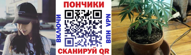 Марихуана THC 21%  Суворов 